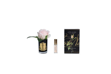 Rose Bud - Black Glass - Champagne Pink - GMRB55 (Carton of 6)